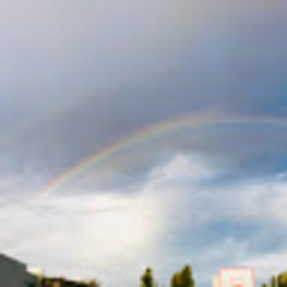 Meet your Posher, Trinity - Picture 1 of 1